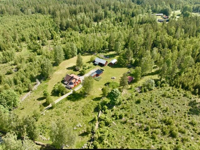 Aerial view of our farm surrounded by forest