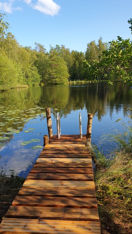 Wooden jetty leading into a forest lake