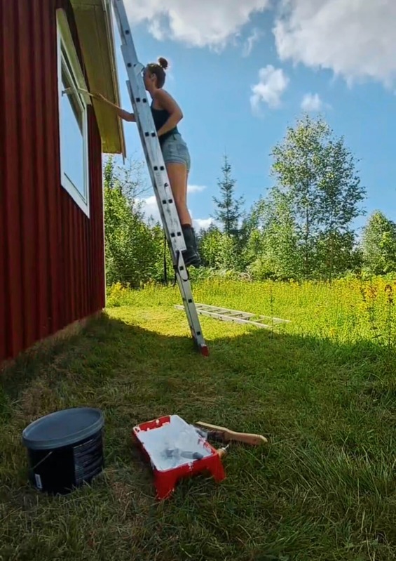 Painting the red house from a ladder