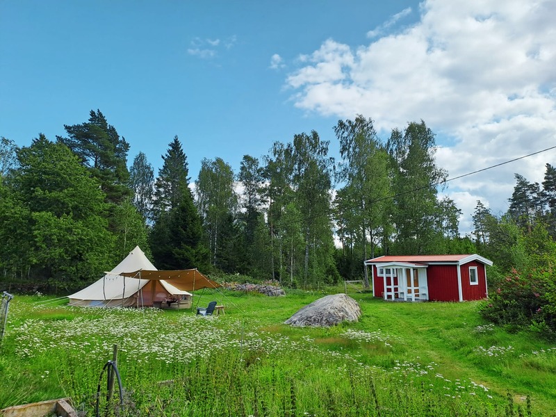 Tipi and red cabin in a flowering field