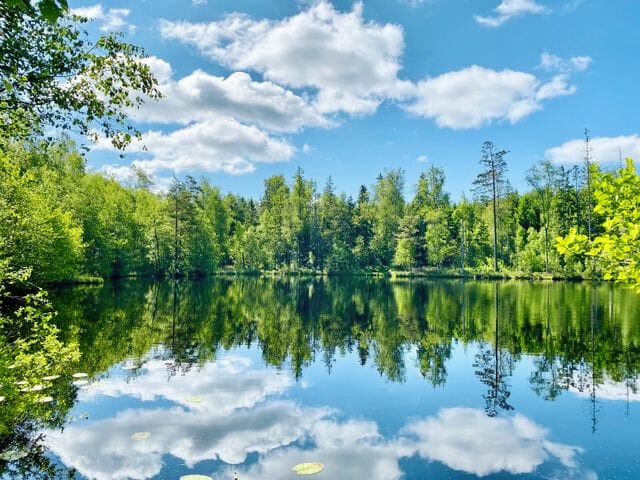 Forest and clouds reflected in a still lake